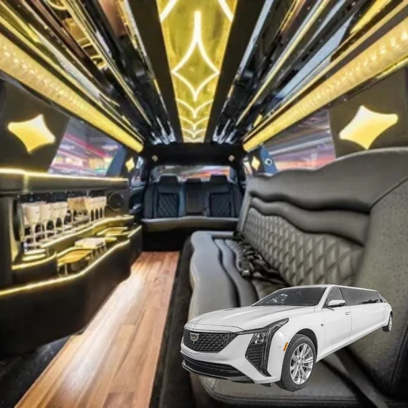 10 Pax Limo